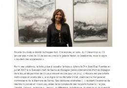 Vernissage Presse pour l’exposition  Au-delà des apparences